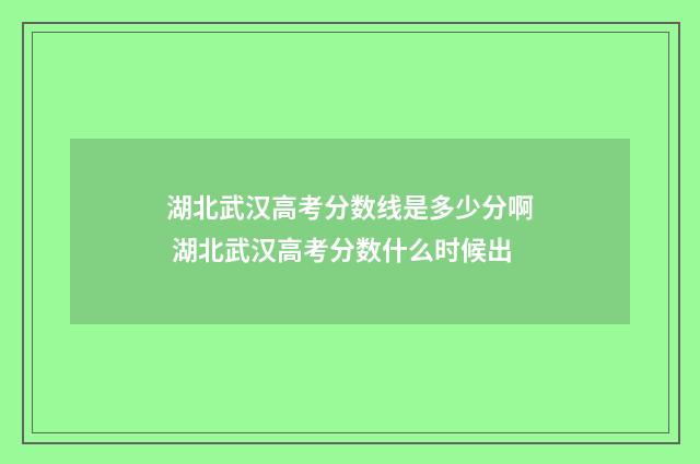 湖北武汉高考分数线是多少分啊 湖北武汉高考分数什么时候出