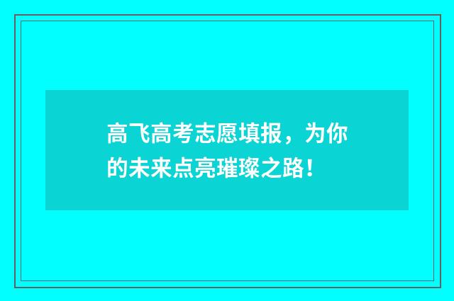 高飞高考志愿填报，为你的未来点亮璀璨之路！
