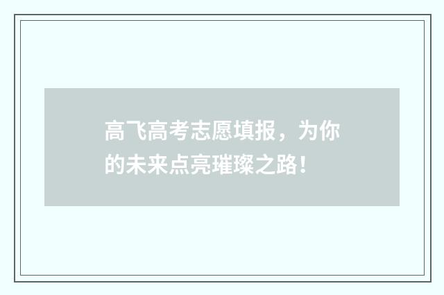 高飞高考志愿填报，为你的未来点亮璀璨之路！