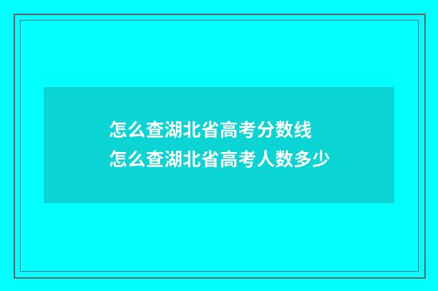 怎么查湖北省高考分数线 怎么查湖北省高考人数多少