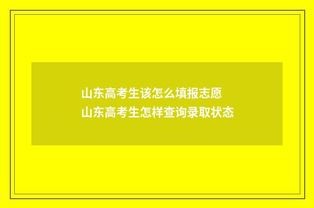 山东高考生该怎么填报志愿 山东高考生怎样查询录取状态
