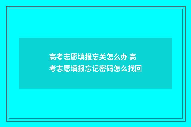 高考志愿填报忘关怎么办 高考志愿填报忘记密码怎么找回