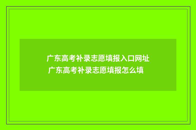 广东高考补录志愿填报入口网址 广东高考补录志愿填报怎么填