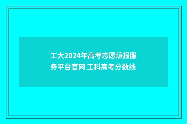 工大2024年高考志愿填报服务平台官网 工科高考分数线
