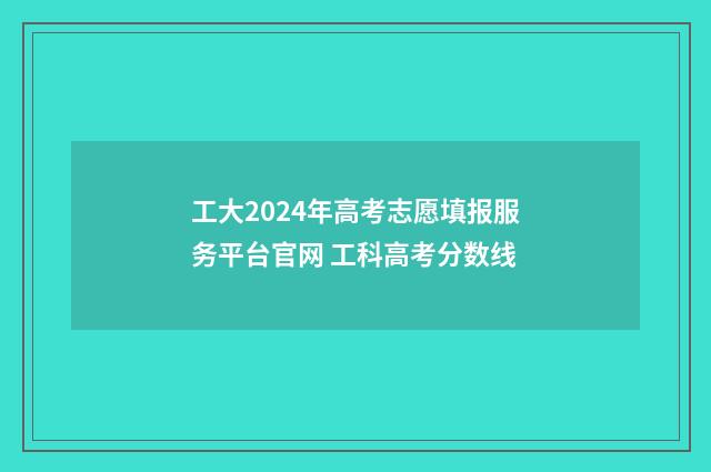 工大2024年高考志愿填报服务平台官网 工科高考分数线