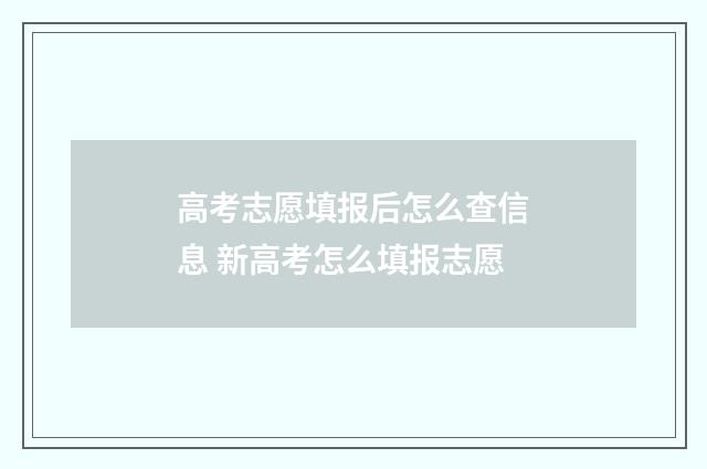 高考志愿填报后怎么查信息 新高考怎么填报志愿