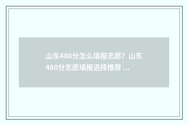 山东480分怎么填报志愿？山东480分志愿填报选择推荐 山东高考480分位次