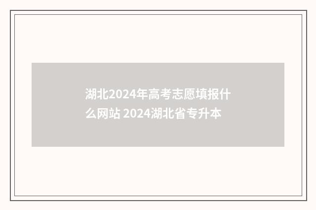 湖北2024年高考志愿填报什么网站 2024湖北省专升本