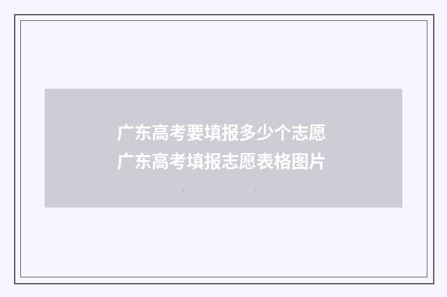 广东高考要填报多少个志愿 广东高考填报志愿表格图片