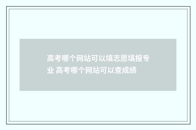高考哪个网站可以填志愿填报专业 高考哪个网站可以查成绩