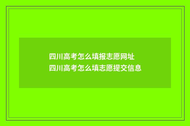 四川高考怎么填报志愿网址 四川高考怎么填志愿提交信息