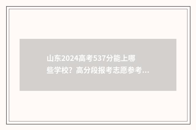 山东2024高考537分能上哪些学校？高分段报考志愿参考指南 山东2024高考53万位次