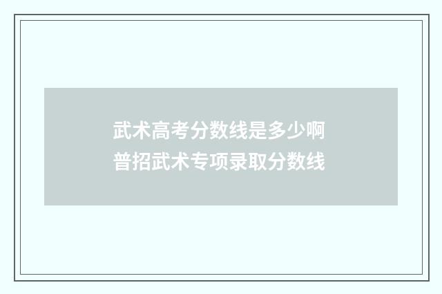 武术高考分数线是多少啊 普招武术专项录取分数线