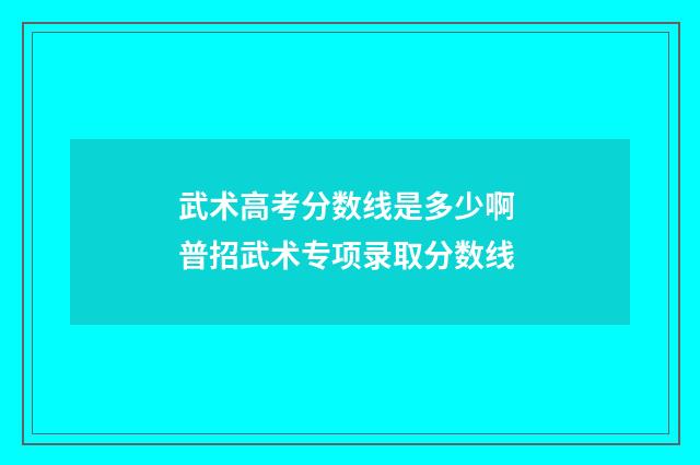 武术高考分数线是多少啊 普招武术专项录取分数线
