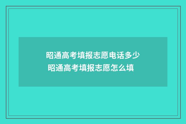 昭通高考填报志愿电话多少 昭通高考填报志愿怎么填