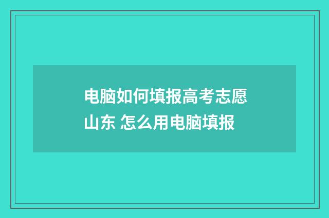 电脑如何填报高考志愿山东 怎么用电脑填报