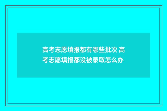 高考志愿填报都有哪些批次 高考志愿填报都没被录取怎么办