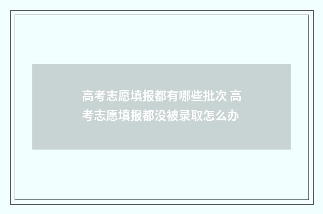 高考志愿填报都有哪些批次 高考志愿填报都没被录取怎么办