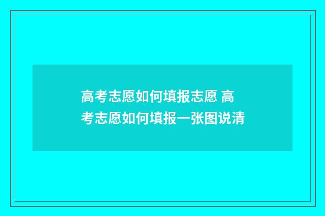 高考志愿如何填报志愿 高考志愿如何填报一张图说清