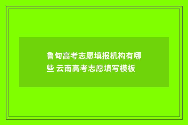 鲁甸高考志愿填报机构有哪些 云南高考志愿填写模板