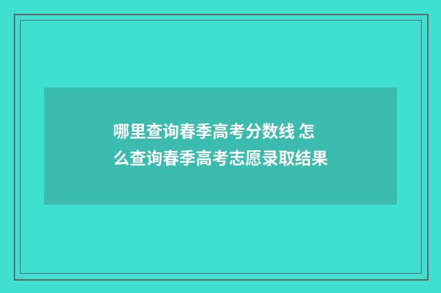 哪里查询春季高考分数线 怎么查询春季高考志愿录取结果