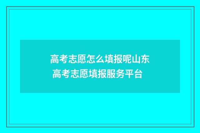 高考志愿怎么填报呢山东 高考志愿填报服务平台