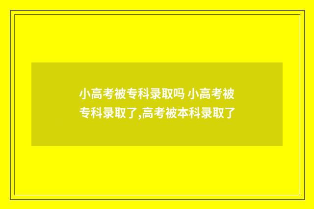 小高考被专科录取吗 小高考被专科录取了,高考被本科录取了