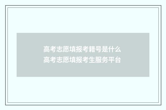 高考志愿填报考籍号是什么 高考志愿填报考生服务平台