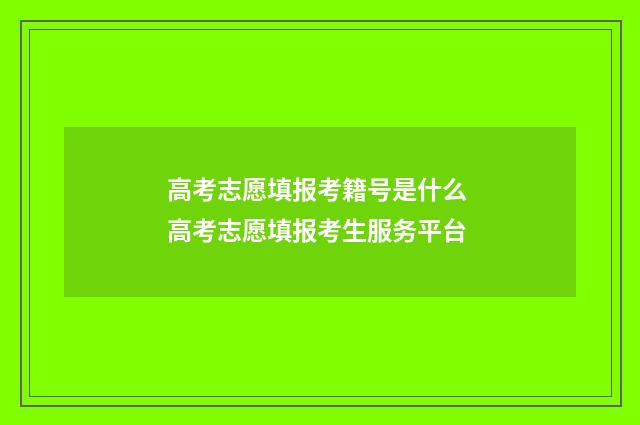 高考志愿填报考籍号是什么 高考志愿填报考生服务平台