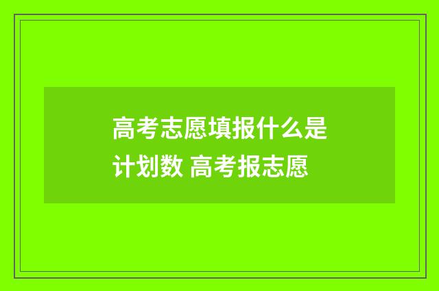 高考志愿填报什么是计划数 高考报志愿