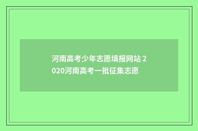 河南高考少年志愿填报网站 2020河南高考一批征集志愿