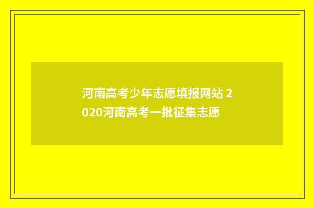河南高考少年志愿填报网站 2020河南高考一批征集志愿