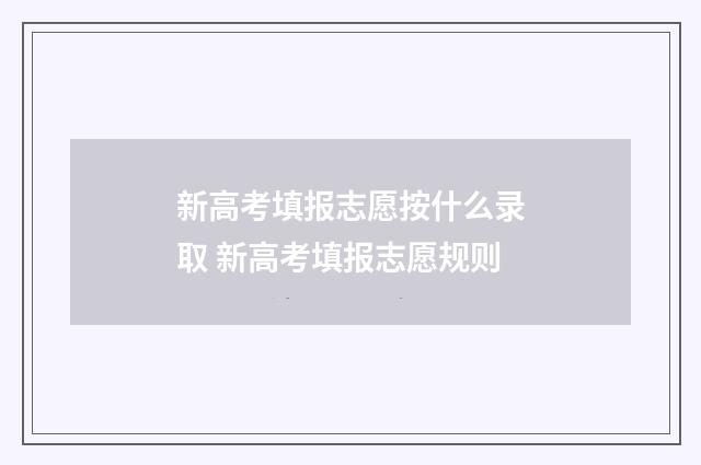 新高考填报志愿按什么录取 新高考填报志愿规则