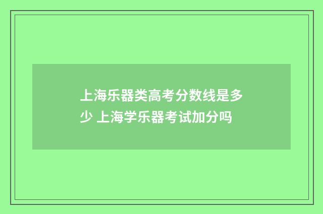 上海乐器类高考分数线是多少 上海学乐器考试加分吗