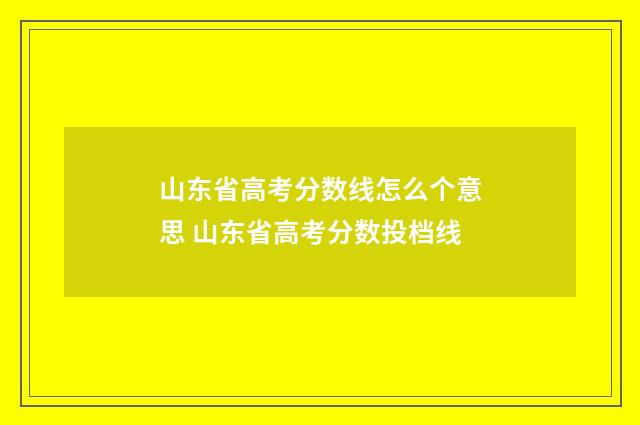 山东省高考分数线怎么个意思 山东省高考分数投档线