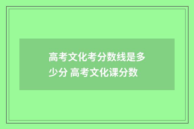 高考文化考分数线是多少分 高考文化课分数