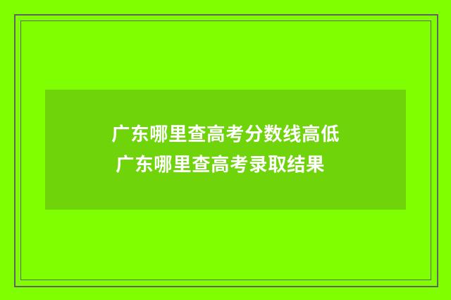 广东哪里查高考分数线高低 广东哪里查高考录取结果