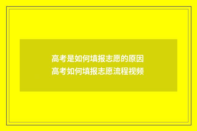 高考是如何填报志愿的原因 高考如何填报志愿流程视频