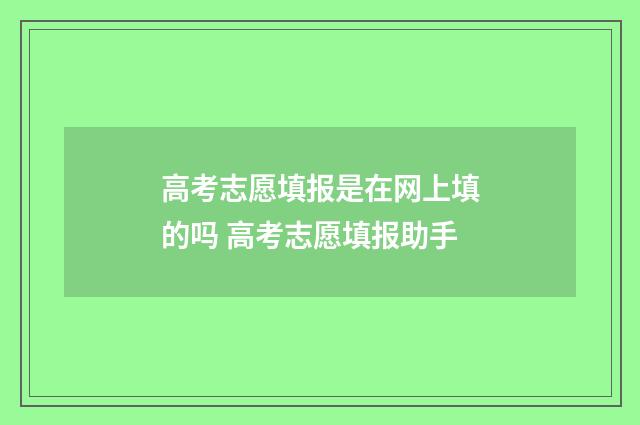 高考志愿填报是在网上填的吗 高考志愿填报助手