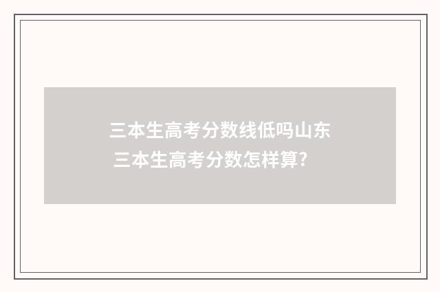 三本生高考分数线低吗山东 三本生高考分数怎样算?