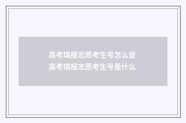 高考填报志愿考生号怎么查 高考填报志愿考生号是什么
