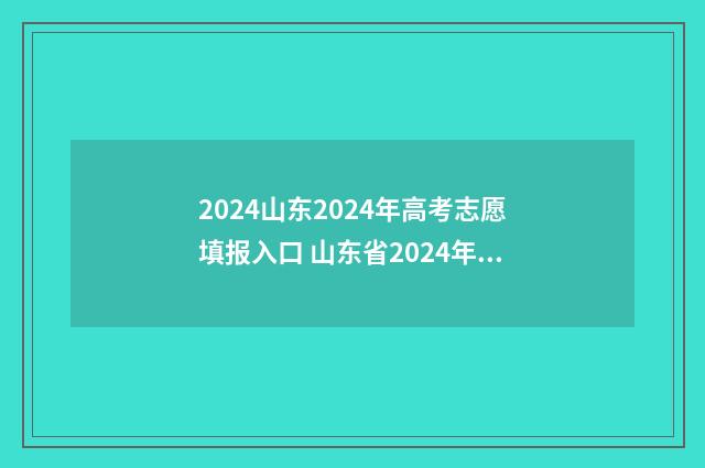 2024山东2024年高考志愿填报入口 山东省2024年高考人数