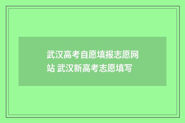 武汉高考自愿填报志愿网站 武汉新高考志愿填写