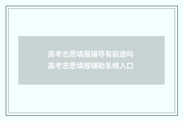 高考志愿填报辅导有前途吗 高考志愿填报辅助系统入口