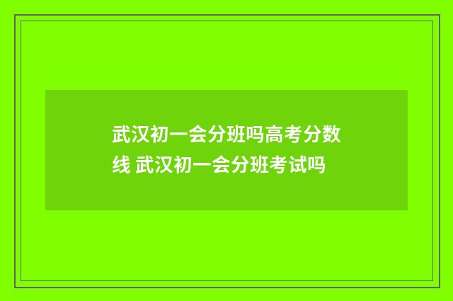 武汉初一会分班吗高考分数线 武汉初一会分班考试吗