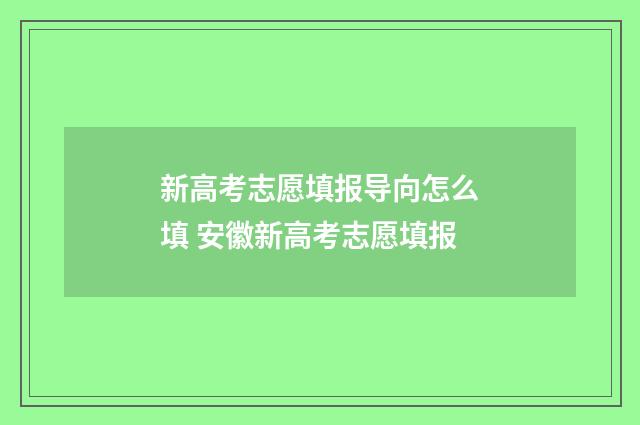 新高考志愿填报导向怎么填 安徽新高考志愿填报