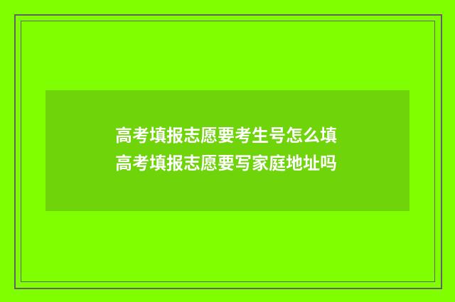 高考填报志愿要考生号怎么填 高考填报志愿要写家庭地址吗