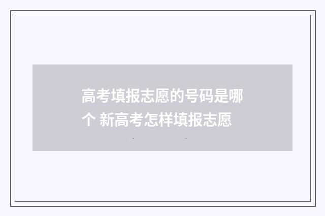 高考填报志愿的号码是哪个 新高考怎样填报志愿