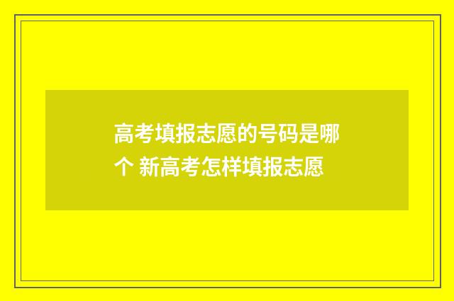 高考填报志愿的号码是哪个 新高考怎样填报志愿