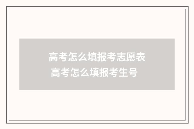 高考怎么填报考志愿表 高考怎么填报考生号